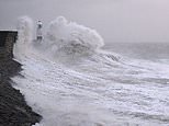 Storm Darragh claims its second victim as man is killed by falling tree landing on his car - while thousands of homes are still without power following brutal 96mph gales