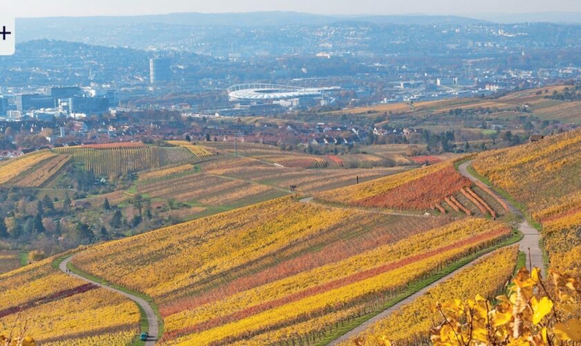 Reise zu den Winzern rund um Stuttgart