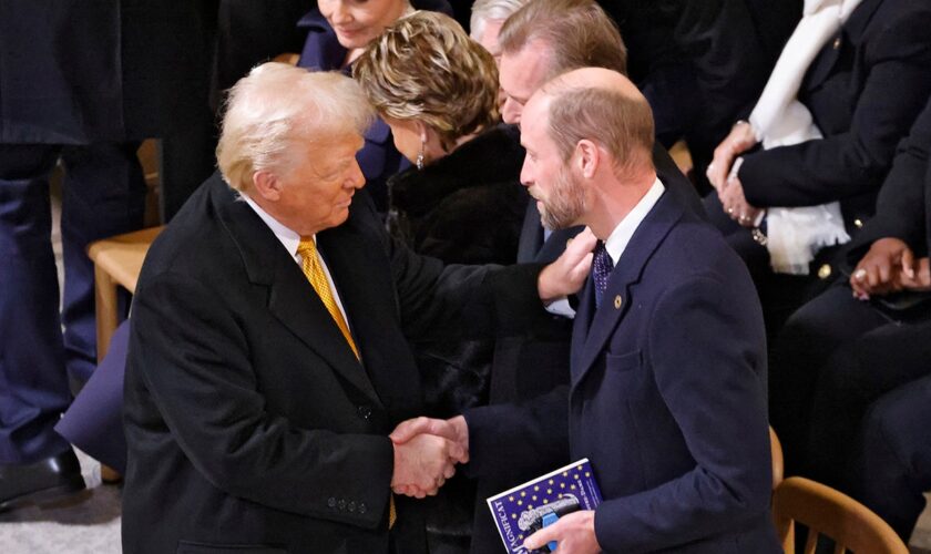 Trump, Prince William sit down for meeting in Paris after Notre Dame ceremony