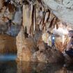 « La grotte Cosquer, un chef-d’œuvre en sursis », magie des profondeurs