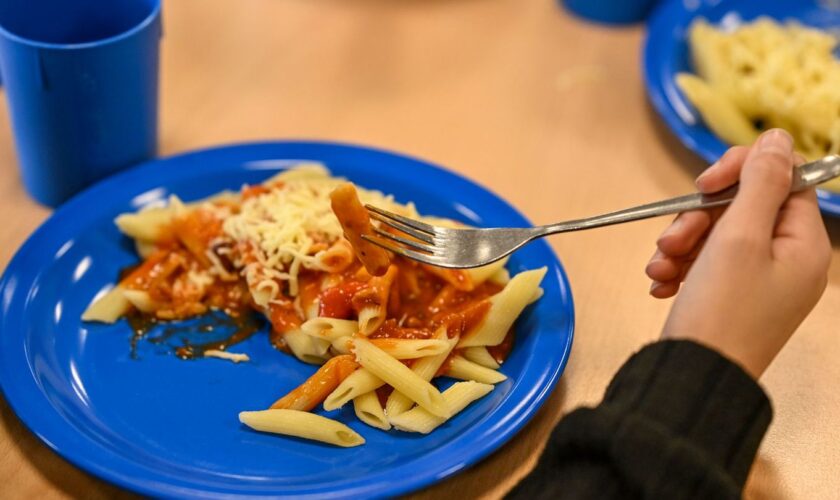 Die SPD will ein kostenfreies Mittagessen in den Schulen einführen. (Symbolbild) Foto: Jens Kalaene/dpa