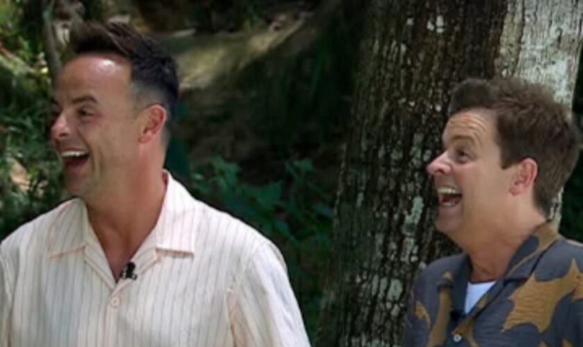 I’m a Celebrity: Ant and Dec makes risque jokes about McFly star Danny Jones