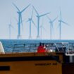 Des éoliennes offshore situées dans la mer Baltique.