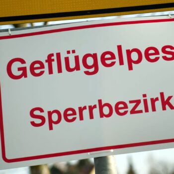 Es wurde eine Schutzzone mit einem Radius von drei Kilometern und eine Überwachungszone mit einem Radius von zehn Kilometern fes