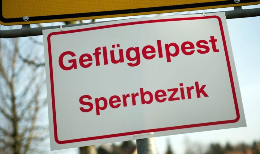 Es wurde eine Schutzzone mit einem Radius von drei Kilometern und eine Überwachungszone mit einem Radius von zehn Kilometern fes