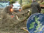 Storm Darragh clean-up starts as 118,000 are still without power after 96mph winds are replaced with calmer weather