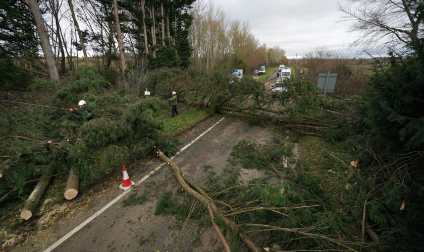 Fallen trees in Swainshill, Herefordshire. Pic: PA