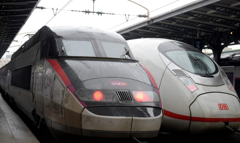 Pour un Paris-Stuttgart, une liaison opérée conjointement par la SNCF et la Deutsche Bahn, les prix diffèrent entre les sites de SNCF Connect et de la Deutsche Bahn, dénonce l'UFC-Que choisir