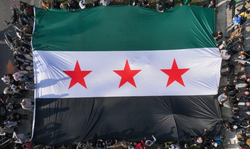 Chute de Bachar el-Assad: l'émoji «drapeau syrien» peut-il être modifié?