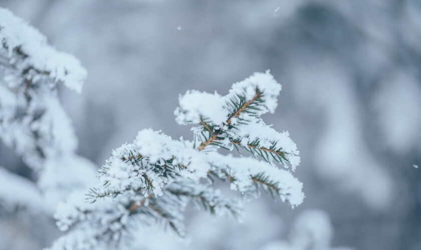 Météo : nouvel épisode de froid, ce qu'il amène chez vous peut surprendre