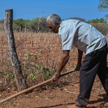 Plus de 40 % des terres émergées sont désormais arides