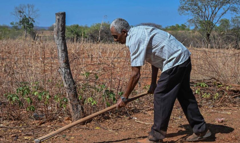 Plus de 40 % des terres émergées sont désormais arides