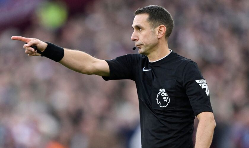 Premier League referee sacked after investigation into his conduct