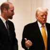 Prinz William (l.) und Donald Trump unterhielten sich am 7. Dezember in Paris.