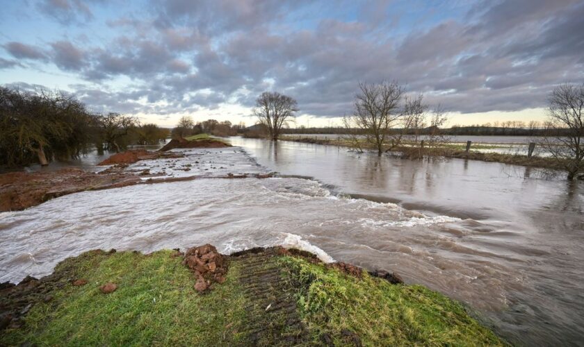 Das Hochwasser an der Helme hatte im Süden Sachsen-Anhalts zum Jahreswechsel für Schäden gesorgt. (Archivbild) Foto: Heiko Rebsc