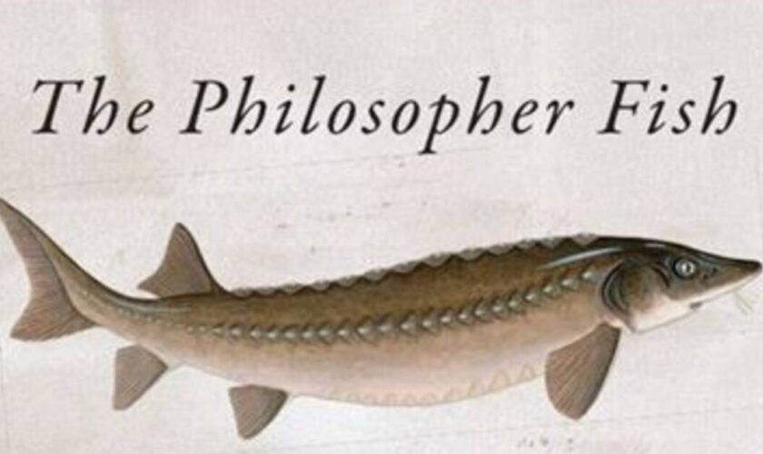 Prix Bookseller : «le Poisson philosophe» élu titre de livre le plus bizarre de l’année au Royaume-Uni