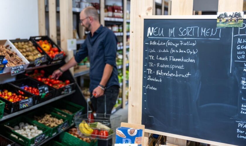 Ausgleich von Inflation: Olaf Scholz schlägt geringeren Mehrwertsteuersatz auf Lebensmittel vor