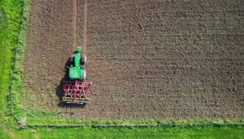 Glyphosate : la justice de l’UE saisie contre l’autorisation de l’herbicide jusqu’en 2033