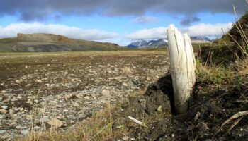 En Arctique, les incendies se multiplient et contribuent au cercle vicieux du changement climatique