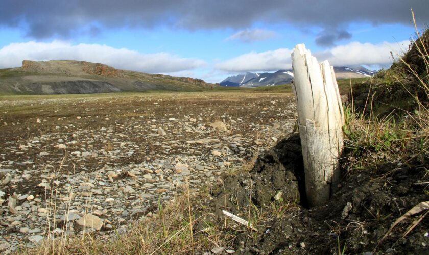 En Arctique, les incendies se multiplient et contribuent au cercle vicieux du changement climatique