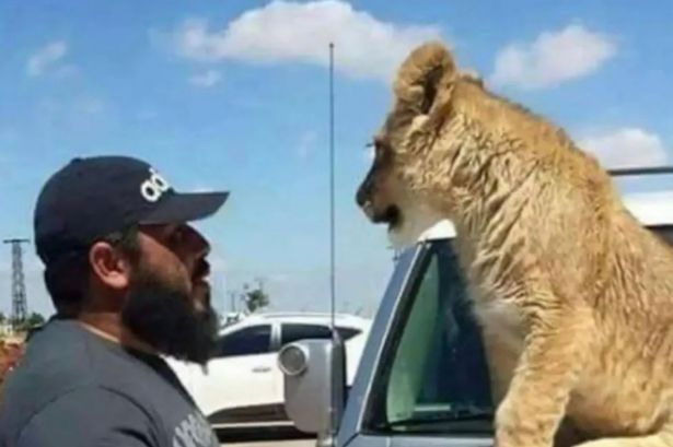 Assad's Tiger Forces member who fed prisoners to pet lion 'executed' by Syrian rebels