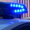 Schafe auf den Gleisen haben am Dienstag einen Polizeieinsatz bei Eichenzell/Kerzell ausgelöst und für Zugverspätungen gesorgt.