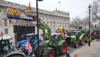 Over half of farmers who gain from tax loophole have 'no involvement in farming in any way'