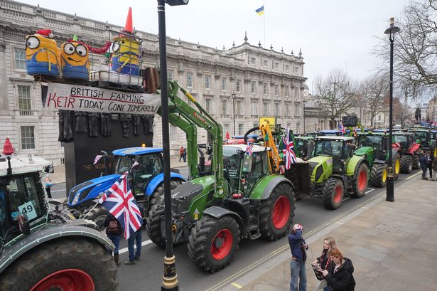 Over half of farmers who gain from tax loophole have 'no involvement in farming in any way'