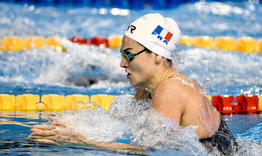 DIRECT. Championnats du monde de natation en petit bassin : première médaille pour les Bleus dans une soirée compliquée