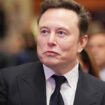 Elon Musk: Vermögen von Elon Musk steigt auf über 400 Milliarden US-Dollar