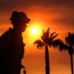 Wind blows the palm trees as a firefighter watches during sunset while a wildfire burns Tuesday, Sept. 6, 2022, near Hemet, Calif. (AP Photo/Ringo H.W. Chiu)