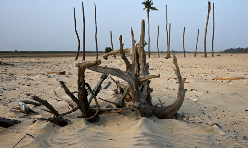 La salinisation des sols progresse, menaçant l'agriculture et l'accès à l'eau douce