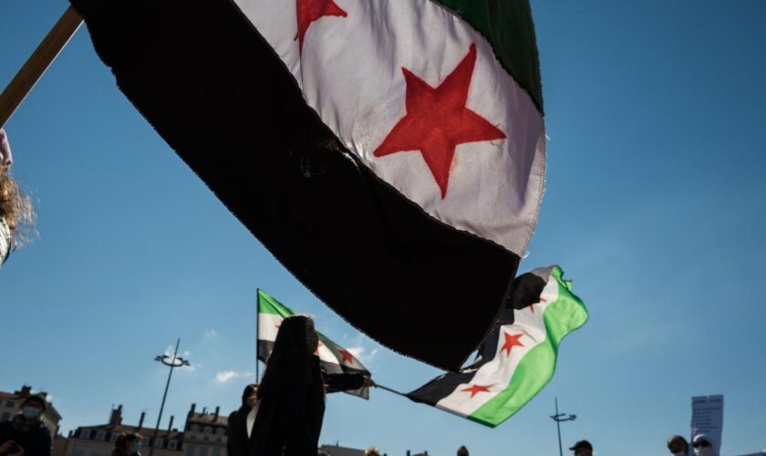 « J’aimerais beaucoup amener mes enfants… si c’est possible » : après la chute d’Al-Assad, l’espoir et les doutes de la communauté syrienne de France