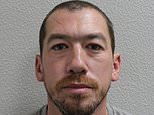 Sex predator who raped young woman acting as a 'Good Samaritan' by helping him drunkenly get out of a taxi is jailed