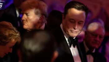 Trump und Musk: Der Einflüsterer des amerikanischen Sonnen­königs