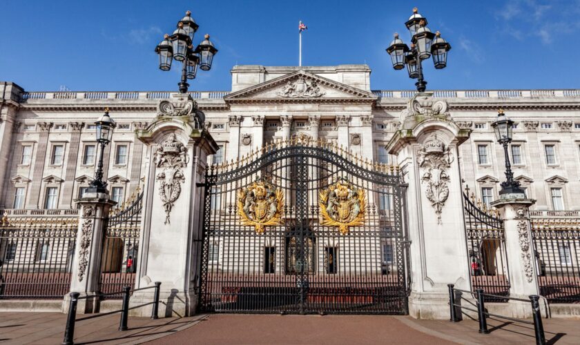 Woman arrested after Buckingham Palace staff Christmas party