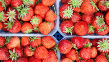 Des émojis fraises inondent l’Instagram de Michel-Edouard Leclerc pour dénoncer la présence du fruit dans ses supermarchés en hiver