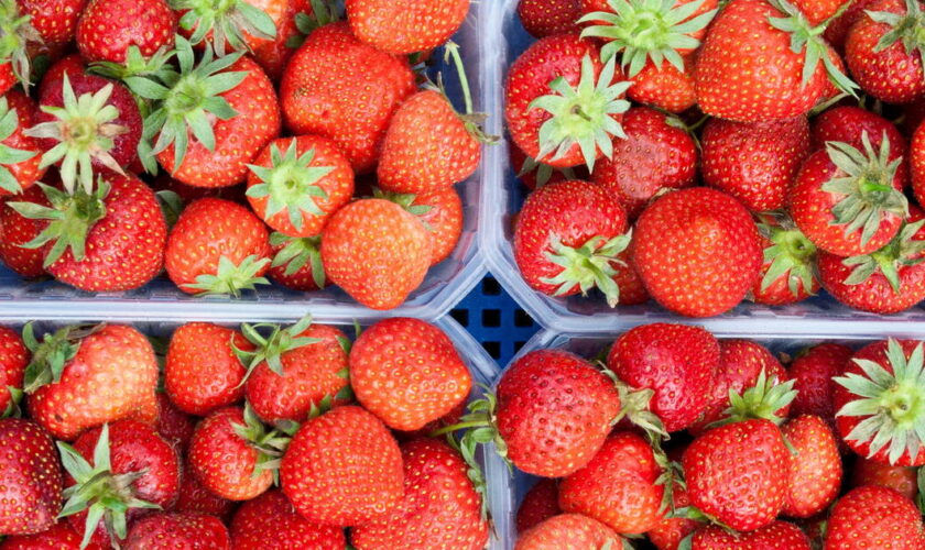 Des émojis fraises inondent l’Instagram de Michel-Edouard Leclerc pour dénoncer la présence du fruit dans ses supermarchés en hiver