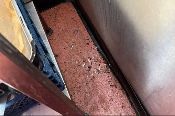 Disgusting images show café covered in rat droppings, dirt and food waste