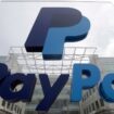 Warning: This PayPal scam is everywhere right now