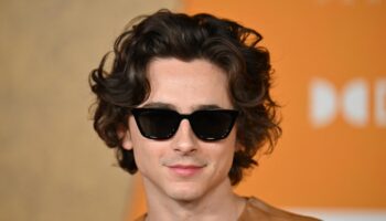 Timothée Chalamet s’affiche avec un tout nouveau look à l’avant-première de « Un parfait inconnu »