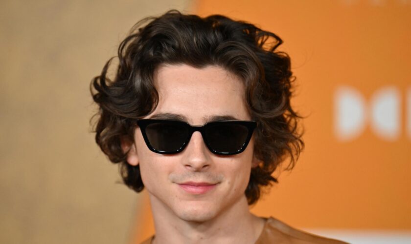 Timothée Chalamet s’affiche avec un tout nouveau look à l’avant-première de « Un parfait inconnu »