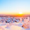 'I took my family on a trip to Lapland and one moment will stay with me forever'