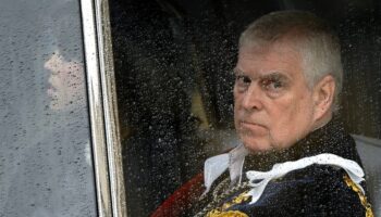 Prince Andrew ‘invited alleged Chinese spy to Buckingham Palace’