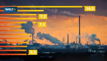 Die neuen Dividendenstars – diese 13 Aktien versprechen besonders hohe Renditen