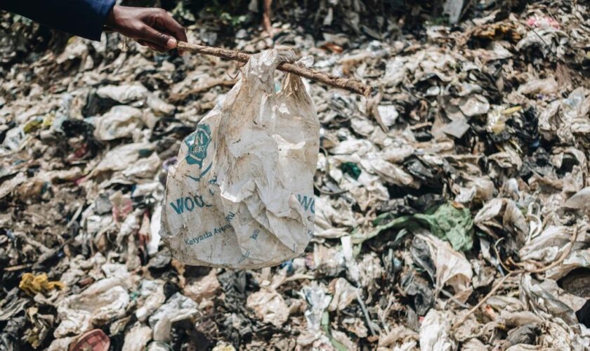 Au Kenya, la mafia des sacs plastique défie les autorités