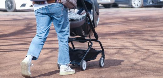 Die SPD will bei Neuwahlen stark auf Familienpolitik setzen