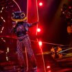 Der Feuersalamander hat es bei "The Masked Singer" nicht ins Finale geschafft. (Archivbild) Foto: Rolf Vennenbernd/dpa