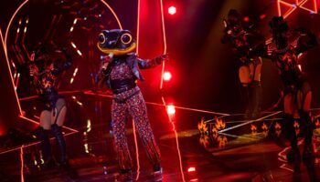 Der Feuersalamander hat es bei "The Masked Singer" nicht ins Finale geschafft. (Archivbild) Foto: Rolf Vennenbernd/dpa