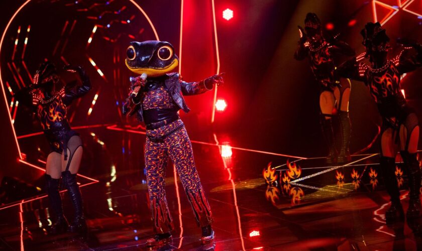 Der Feuersalamander hat es bei "The Masked Singer" nicht ins Finale geschafft. (Archivbild) Foto: Rolf Vennenbernd/dpa